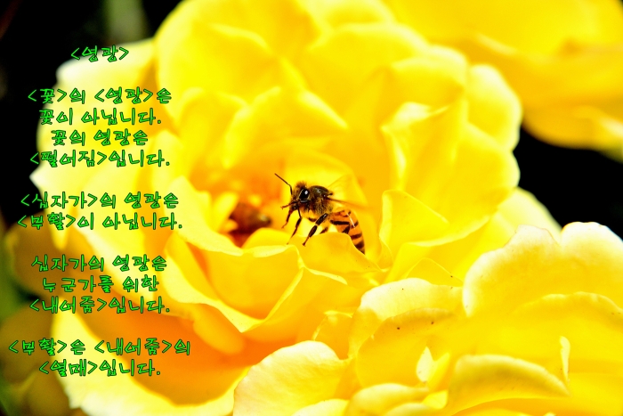 <영광>